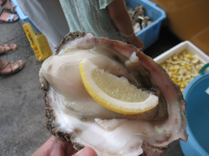 oyster_3.jpg